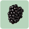 Zarzamora