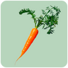 Zanahoria
