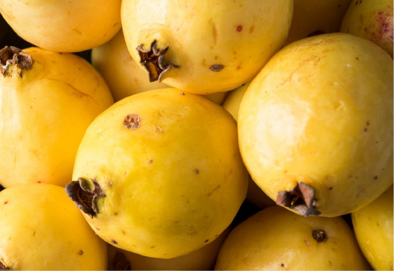Guayaba