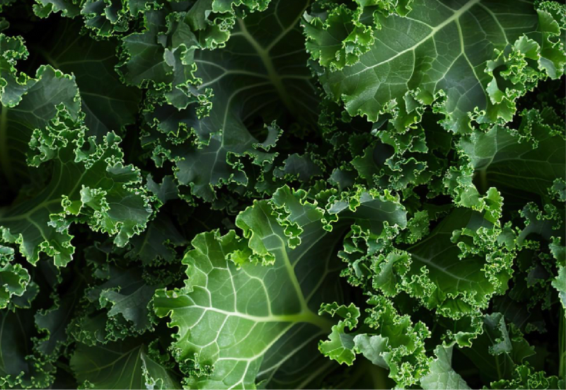Pure Green